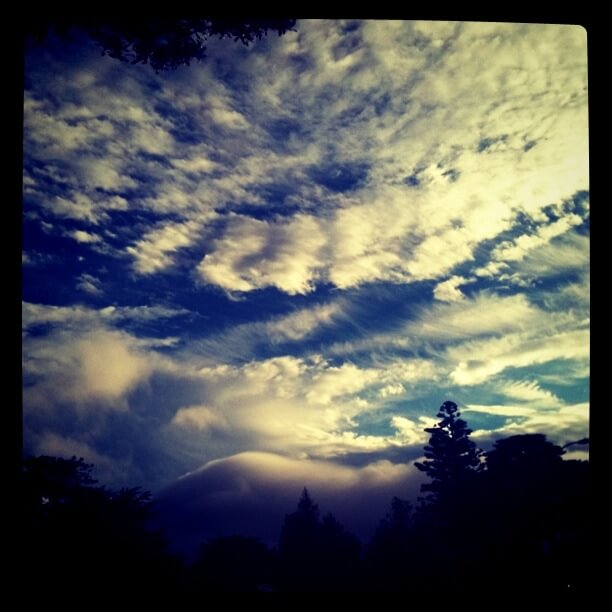 Golden Gate Park Clouds